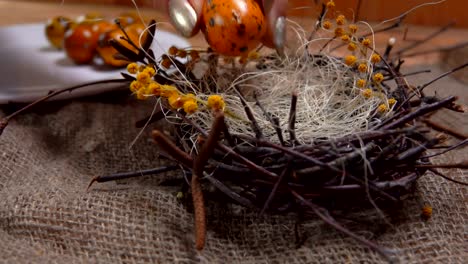 Female-hands-puts-quail-eggs-in-the-nest