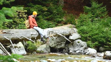 Nette-Mädchen-Tourist-im-Hut-und-mit-einem-Rucksack-auf-einem-Balken-im-Wald