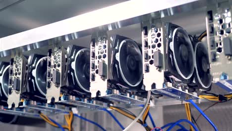 Video-cards,-GPU-connected-to-the-farm-computer-for-bitcoin-mining.