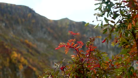 Autumn-in-the-mountains