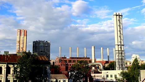 Plant-and-high-rise-buildings