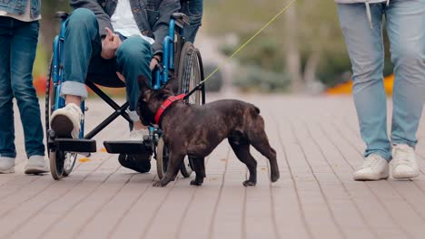 El-hombre-cabalga-en-silla-de-ruedas,-su-perro-juega-con-él.-Vista-inferior.