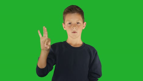 Deaf-boy-signing-I-know-sign-language,-communication-for-hearing-impaired.-Green-screen