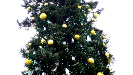 Geschmückter-Weihnachtsbaum-in-Kiew.