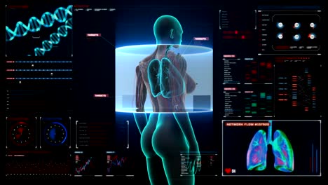 Scanning-body.-Rotating-Female--lungs,-Pulmonary-Diagnostics-in-digital-display.