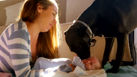 Mutter-mit-ihrem-Baby-Boy-und-Haustier-Hund-4k