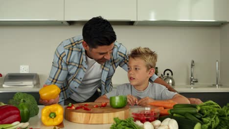 Father-showing-his-son-different-ingredients