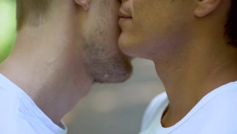 Male-partners-snuggling-faces,-enjoying-closeness-during-park-date,-love-feeling