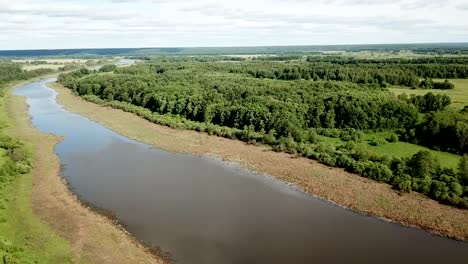 Luftaufnahme-des-malerischen-Waldlandschaft