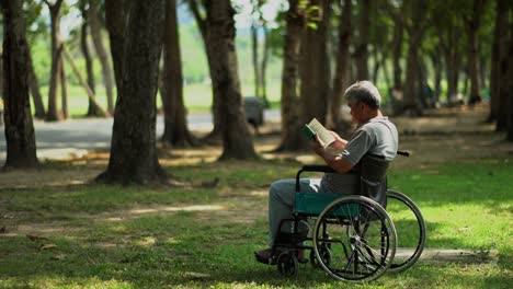 Little-girl-and-grandfather-with-wheelchair-in-park