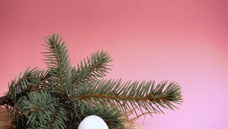 Easter-eggs-on-a-pink-background-with-a-sprig-of-spruce