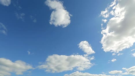 timelapse-of-the-summer-sky