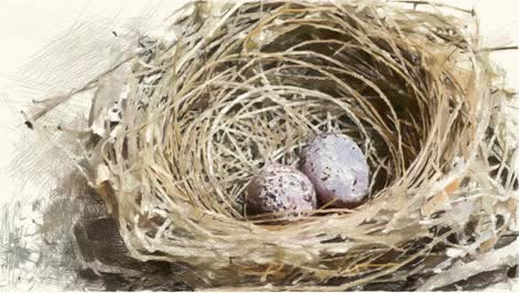 drawing-color-of-egg-on-bird-nest