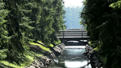 Die-Brücke-über-den-Kanal-und-Catherine-Park,-Tsarskoye-Selo,-Sankt-Petersburg