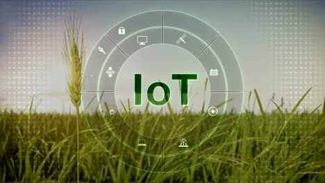 IoT-Technologie-in-der-Runde-Symbol-"Grafik",-intelligente-Landwirtschaft,-Smart-Farming,-Internet-der-Dinge.-4.-industrielle-Revolution.-4-k-Größe.