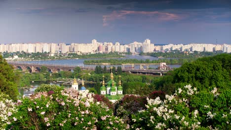 Blooming-lilacs-in-the-botanical-garden.-Kiev.-Timelapse.