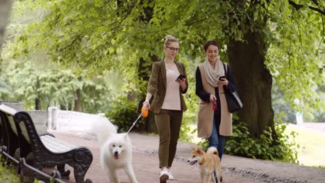 Mujeres-propietarias-de-perros-que-usan-dispositivos-en-el-parque