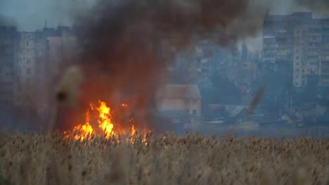 Glühendes-Feuchtgebiet-mit-Flammenzungen-am-Dniproufer-am-Abend-in-slo-mo