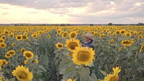 Ein-älterer-Landwirt-fotografiert-Sonnenblumen-und-Sonnenblumenkerne-auf-einer-Tablette-zur-Analyse.-Moderne-Technologien-in-der-Landwirtschaft.