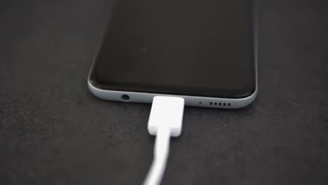 Smartphone-Ladevorgang-mit-USB-Ladegerät