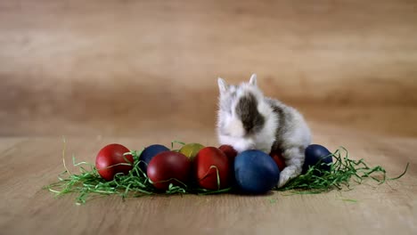 Woman-hands-are-putting-bunny-on-a-Easter-eggs