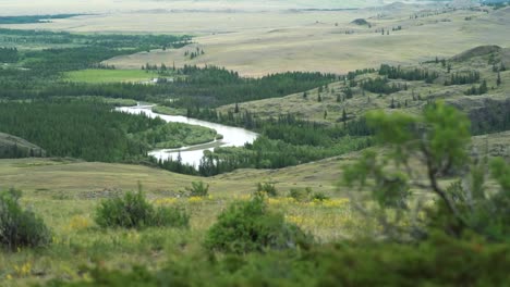 Paisaje-de-verano-de-río,-árboles-y-montañas.-arbustos-de-la-montaña-en-primer-plano.-Tiro-en-movimiento,-el-efecto-de-paralaje