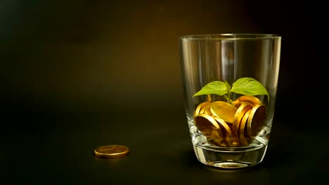 Golden-coins-in-glass-jar-and-green-leaf-of-sprout-on-black-background.-Rotating,-twisting,-swirling,-spinning-penny.