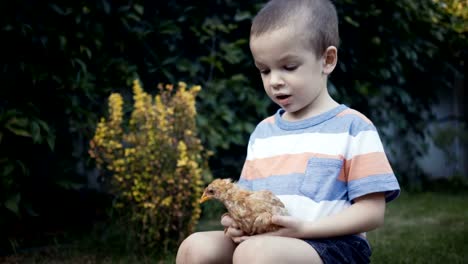 footage-farm-boy-holding-a-small-chick-in-the-hands-outdoor.