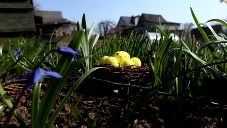 Yellow-eggs-in-nest.Easter-concept