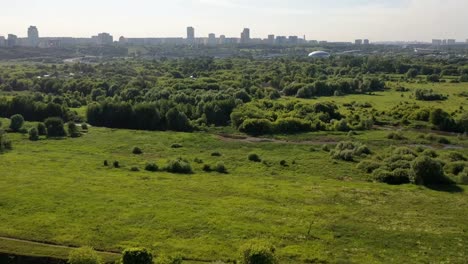 Luftblick-auf-die-Metropole-an-einem-Sommertag-von-der-Flussaue-und-Grünflächen