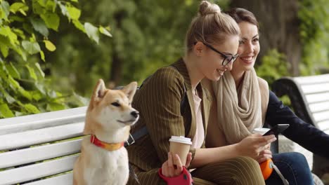 Zwei-Freundinnen-mit-ihren-Doggien-im-Freien