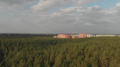 Pine-Forest-on-the-Outskirts-of-the-City.-Irpen.-Ukraine