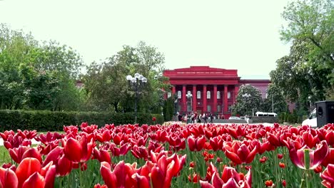 The-building-of-the-Kiev-Shevchenko-University-in-the-spring-day.