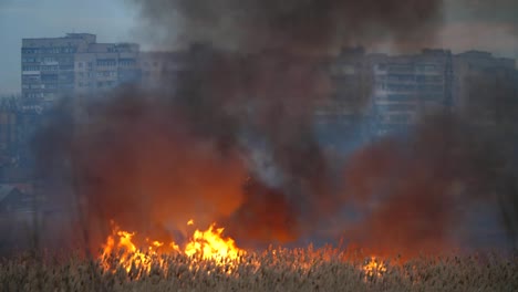 Schwarze-Rauchwolken-und-dramatisches-Feuer,-das-in-tiefer-Nacht-dnipro-Feuchtgebiet-verguntigt