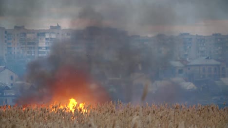 Shocking-view-of-burning-sedge,-cane-and-reed-marsh-suburbs-on-the-Dnipro-quay-at-night.-Houses-are-seen-far-away.