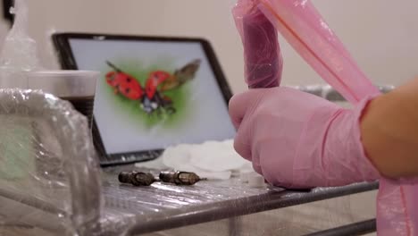 Close-up-of-a-tablet-with-a-picture-of-a-ladybug-on-a-table-in-a-tattoo-parlor