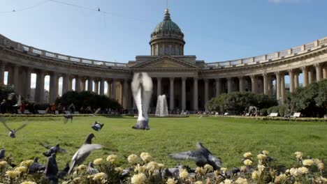 Flock-of-pigeons-fly-away-to-the-Kazan-Cathedral,-Slow-motion---St.-Petersburg,-Russia