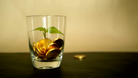 Golden-coins-in-glass-jar-and-green-leaf-of-sprout-on-black-background.-Rotating,-twisting,-swirling,-spinning-penny.