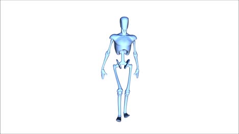 Animation-of-a-posing-Mannequin