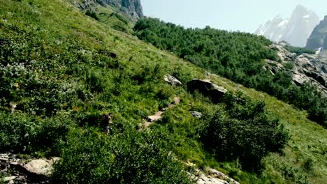 Woman-climber-hiker-tourist-with-a-backpack-in-the-trek-goes-along-the-route-against-the-backdrop-of-beautiful-mountain-scenery,-camera-movement