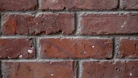 Orange-grunge-old-bricks-headers-and-stretchers-close-up-slow-tilt-4K-UltraHD-footage---house-wall-texture-details-shallow-3840X2160-UHD-tilting-video