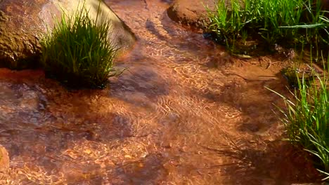 Manantial-mineral-con-agua-curativa-Narzan.-Valle-de-Narzanov-en-Cheget,-Elbrus,-Cáucaso