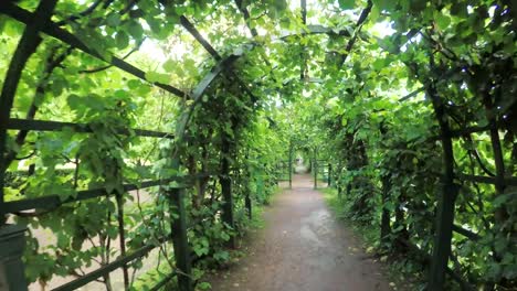 Green-Zimmer-Sommer-Garten