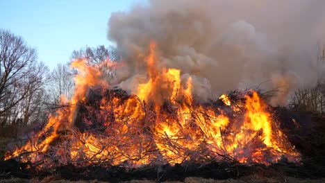 Holzfeuer