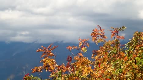 Otoño-en-las-montañas