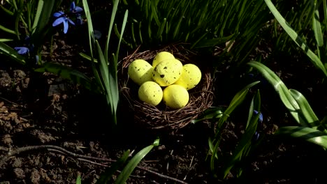 Gelbe-Eier-im-Nest-auf-grünem-Gras.-Osterkonzept