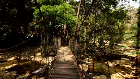 Kamera-bewegt-sich-durch-eine-hölzerne-Hängebrücke-im-Dschungel-im-Nationalpark