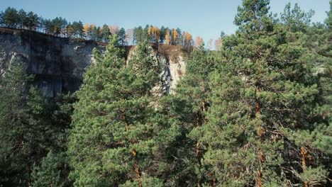 Aerial-view-of-mixed-forest-and-high-cliffs