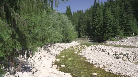 Langsamer-flacher-Fluss-fließt-im-Wald,-Sonne-scheint-auf-runden-Steinen-und-Bäumen-auf-beiden-Seiten