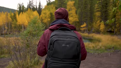 Ein-30er-Jahre-männliche-Reisende-geht-vorwärts-auf-Waldstraße-und-bewundert-Schönheit-der-wilden-Natur.-Rückansicht-des-Touristen-auf-Wanderung-unter-Bäumen-im-Grand-National-Park.-Konzept-Menschen-und-Reisen-natürliche-Nahaufnahme